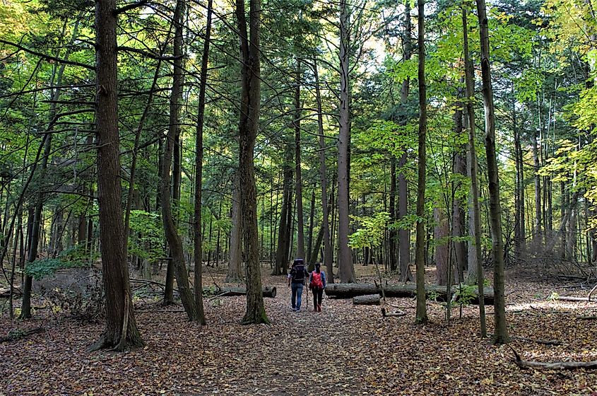 Rouge Urban National Park