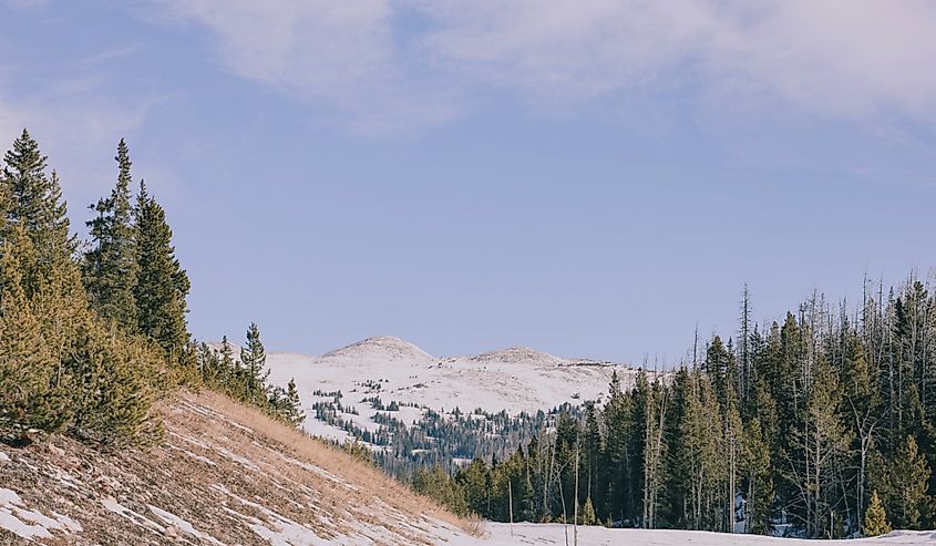 Snow on the mountain in Saratoga, Wyoming