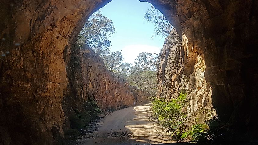 Glow Worm tunnel Near Lithgow Australia. Credit: Destinations Journey / Shutterstock