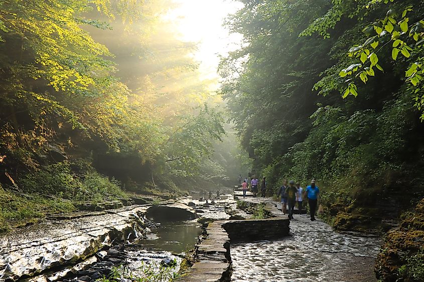 Beautiful scenery from Watkins Glen State Park in New York.