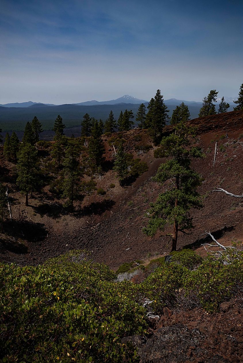 Looking into the center of Lava Butte in Newberry National Volcanic Monument. Photo credit: Brendan Cane