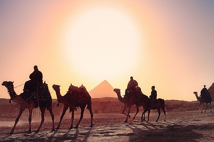 five persons riding camels walking on sand beside Pyramid of Egypt