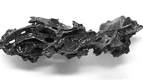 Part of a proposed religious custodian's brain, turned to glass by super-hot ash cloud.