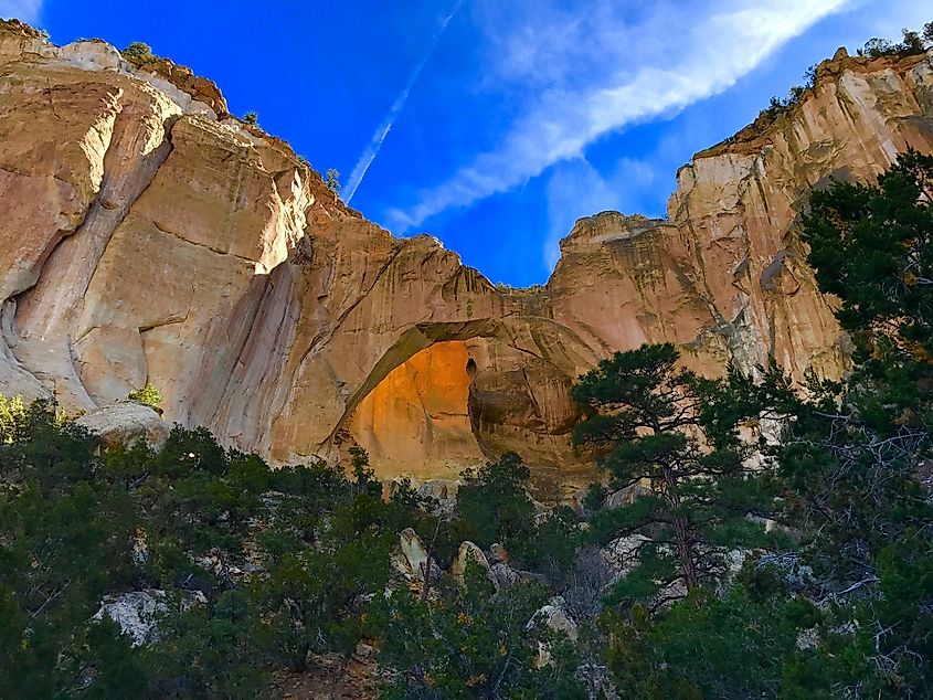 Looking up at El Malpais National Monument in New Mexico with blue skies