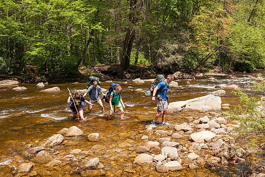 People walking in a river in Hillsboro, West Virginia.