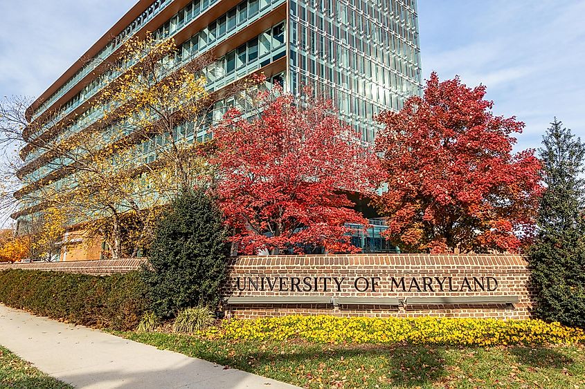 University of Maryland in College Park, Maryland with vibrant red, fall colors on the trees.