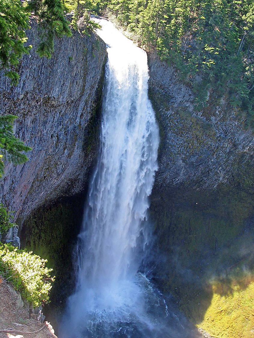 Salt Creek Falls, Willamette National Forest, Oregon. Editorial credit: By Unknown author or not provided - U.S. National Archives and Records Administration, Public Domain, https://commons.wikimedia.org/w/index.php?curid=80262944