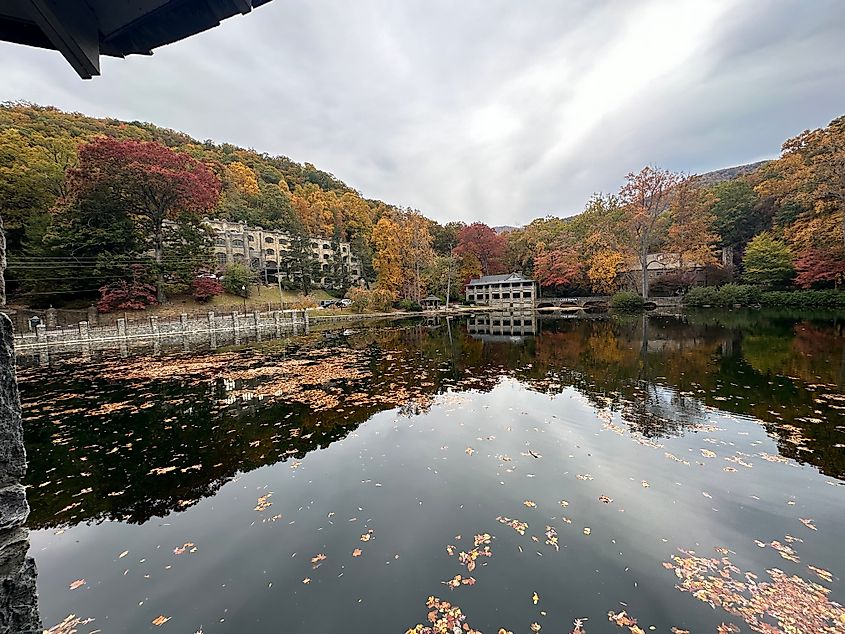 Beautiful nature in Montreat,  North Carolina