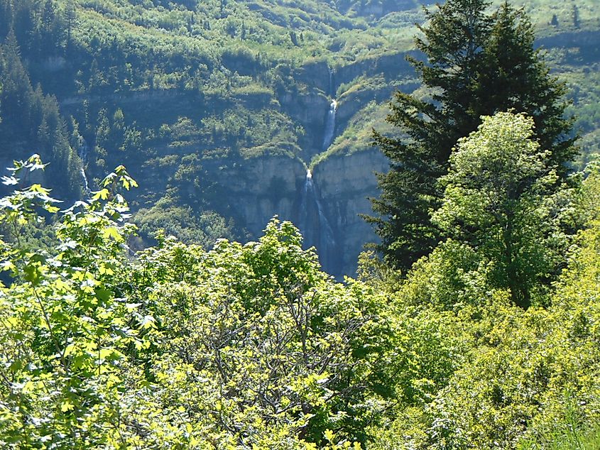 Stewarts Cascades from the Stewart Falls Sundance Trail in Utah. Editorial credit: An Errant Knight - Own work, CC BY-SA 4.0, https://commons.wikimedia.org/w/index.php?curid=108069392