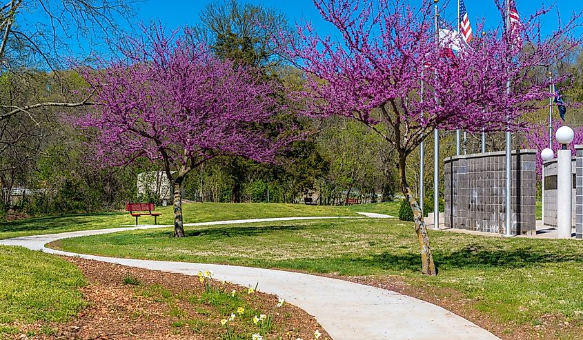 Spring in the park hiking trail at Bella Vista Lake Park, Northwest Arkansas