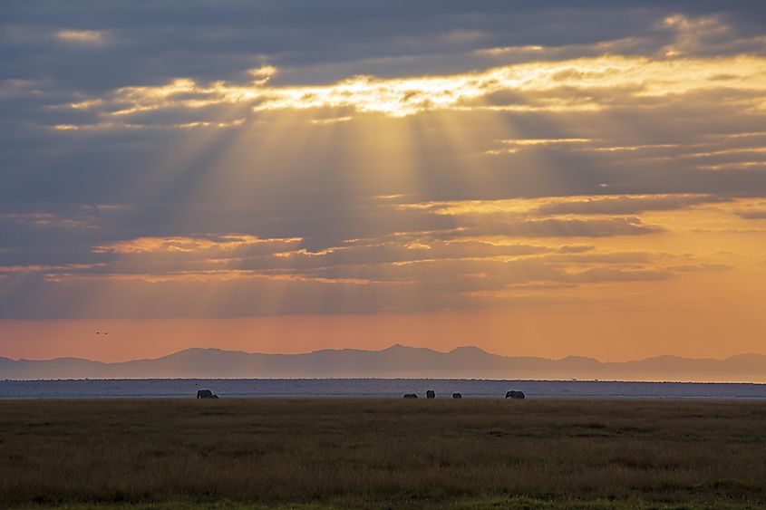 Sunset in Masai Mara