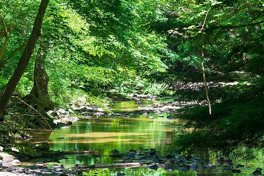 A scenic view of Turkey Creek in Ohio.
