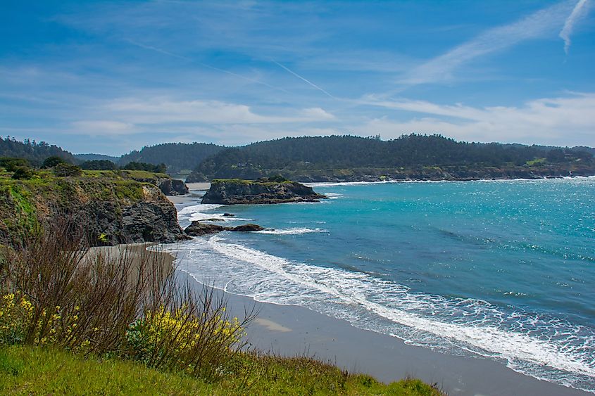 Mendocino Headlands vista on a sunny spring afternoon