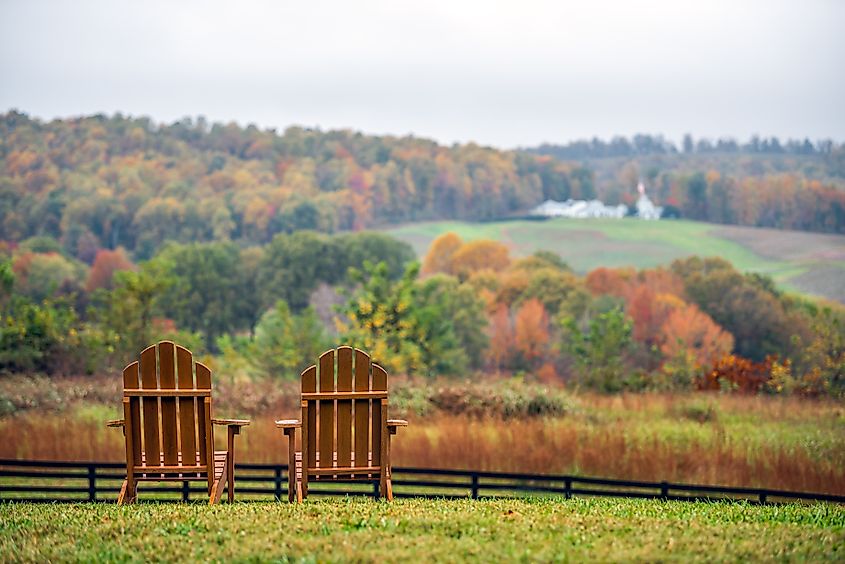 Charlottesville winery vineyard in blue ridge mountains of Virginia.