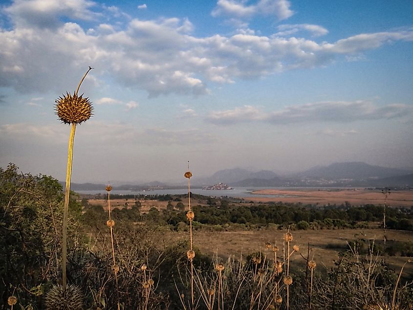 A beautiful golden field leading out to a small lake. Rural Mexican highlands.