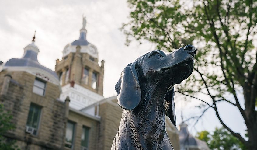A statue of the dog Old Drum, Missouri's Official Historical Dog, in front of the courthouse in Warrensburg, Missouri.