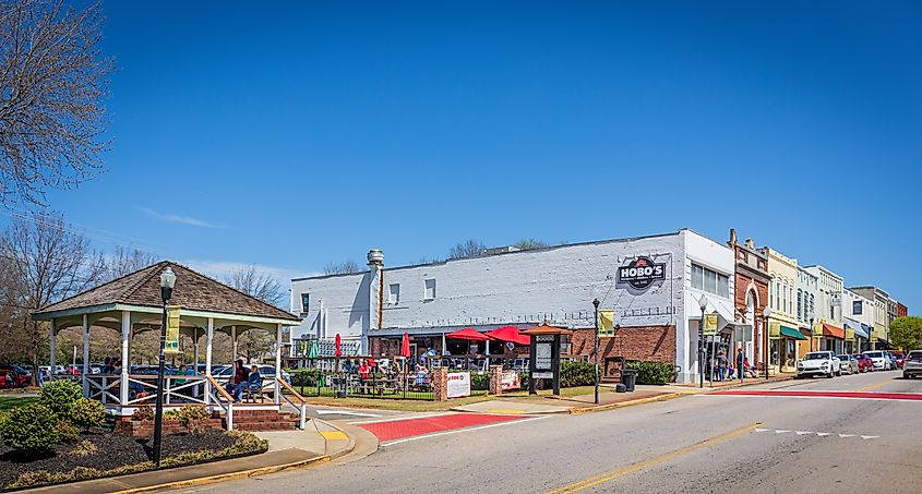 FORT MILL, S.C.-2 APRIL 22: Wide angle view of Main Street, via Nolichuckyjake / Shutterstock.com