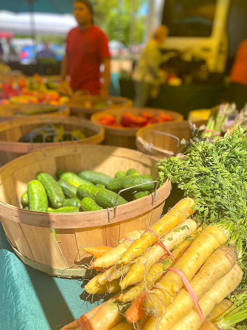Fresh and locally grown carrots and cucumbers at a farmers market in the summer in Bluffton, South Carolina.