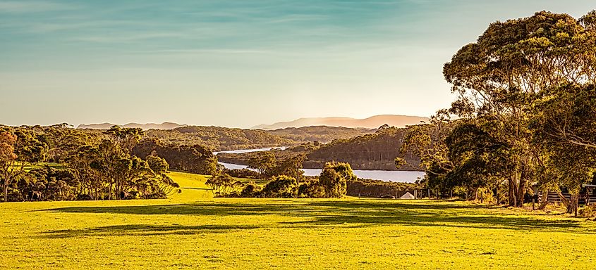 Farmland in Nornalup-Walpole, Western Australia.