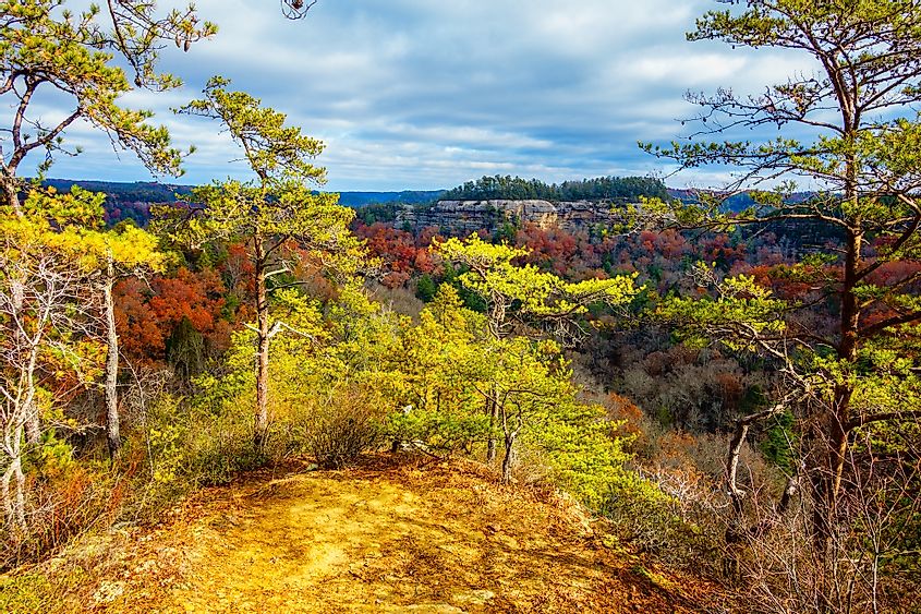 Fall colors in the Red River Gorge Geological Area.
