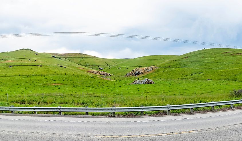 Cabrillo Highway California Highway No 1 in cloudy weather with green fresh meadows