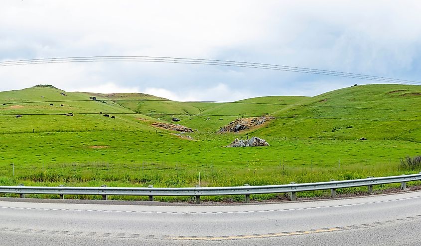 Cabrillo Highway California Highway No 1 in cloudy weather with green fresh meadows