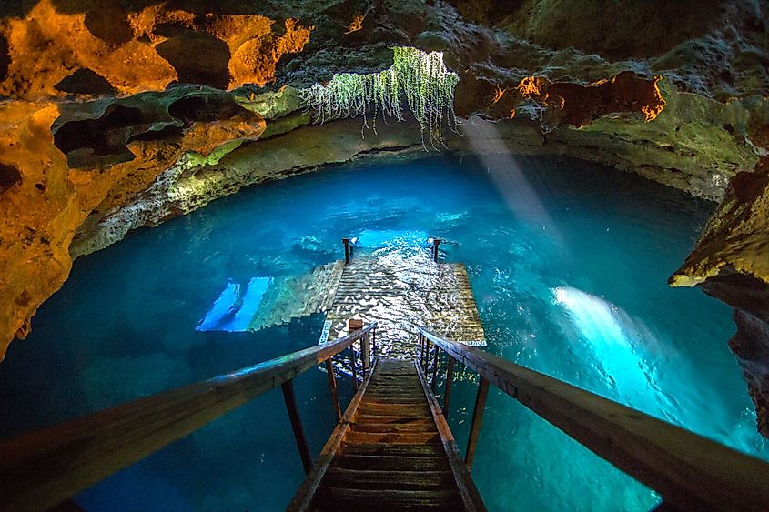 Devil's Den - a prehistoric natural spring in Williston, Florida