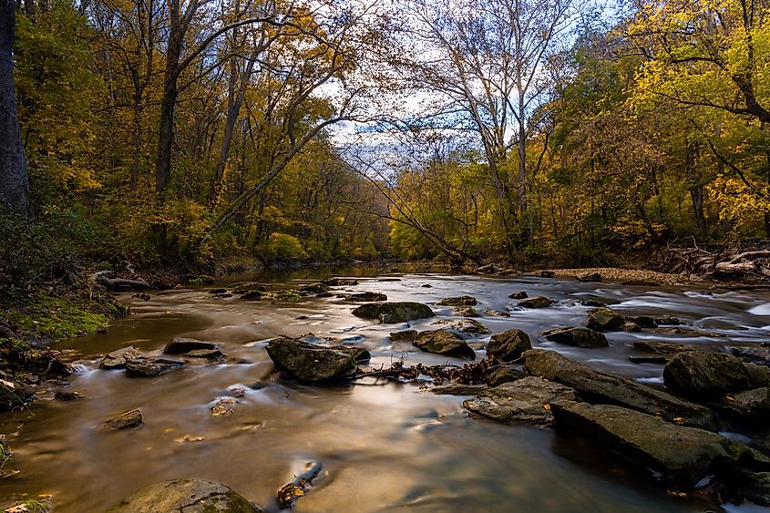 A scenic view of a river flowing in the forest in White Clay Creek State Park, Newark, Delaware