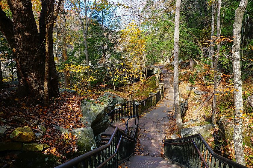 Fall colors at Cumberland Falls State Resort Park.