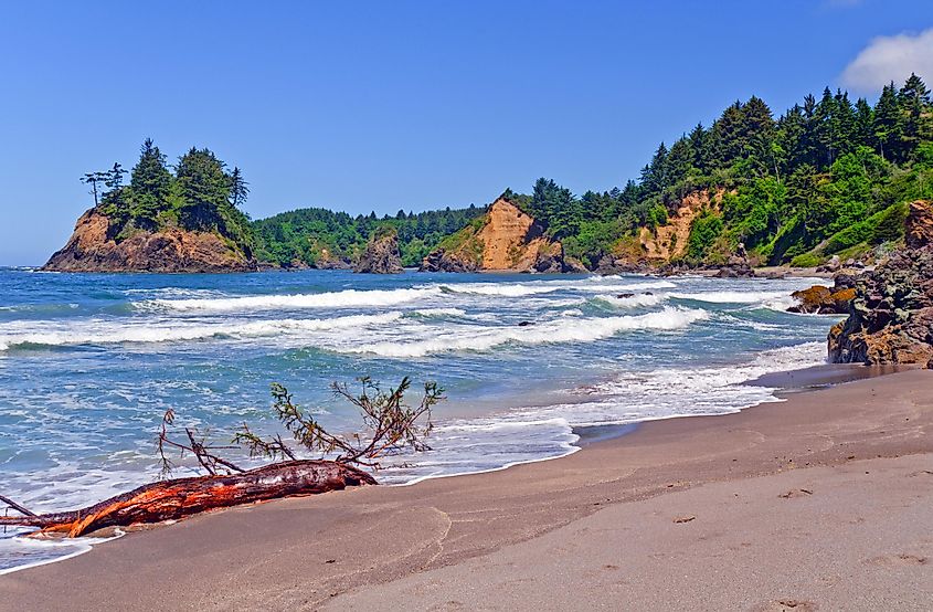 Trinidad State Beach in Northern California