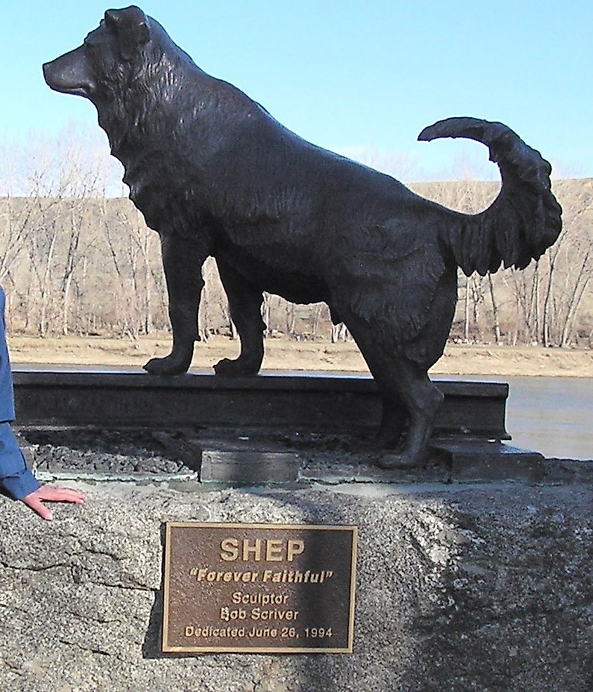 Statue of Shep - A dog who waited 5 and a half years for his deceased master.