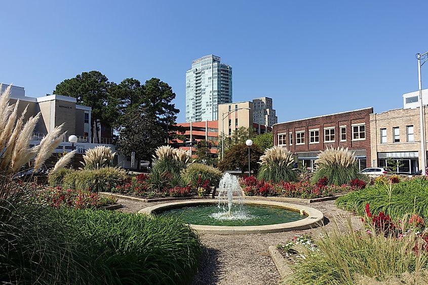 View of Durham, North Carolina from a Downtown Park