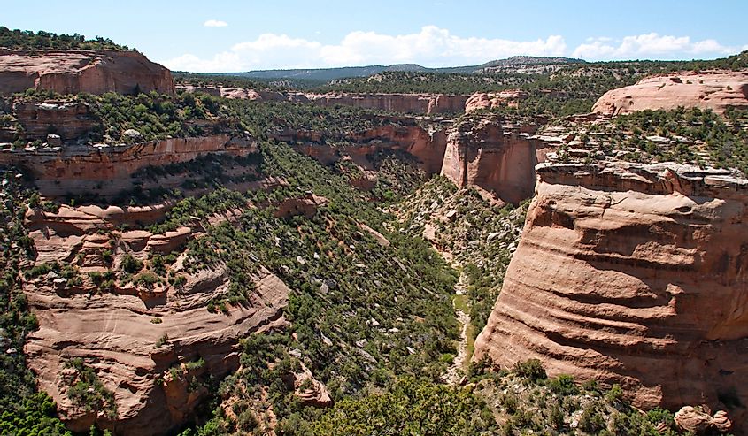 Scenic view of a canyon at Colorado National Monument in Fruita, Colorado