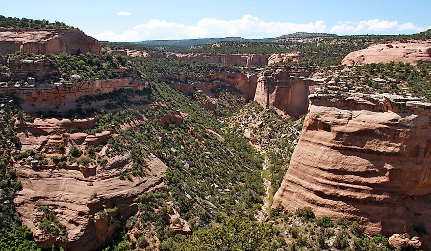 Colorado National Monument in Fruita, Colorado.