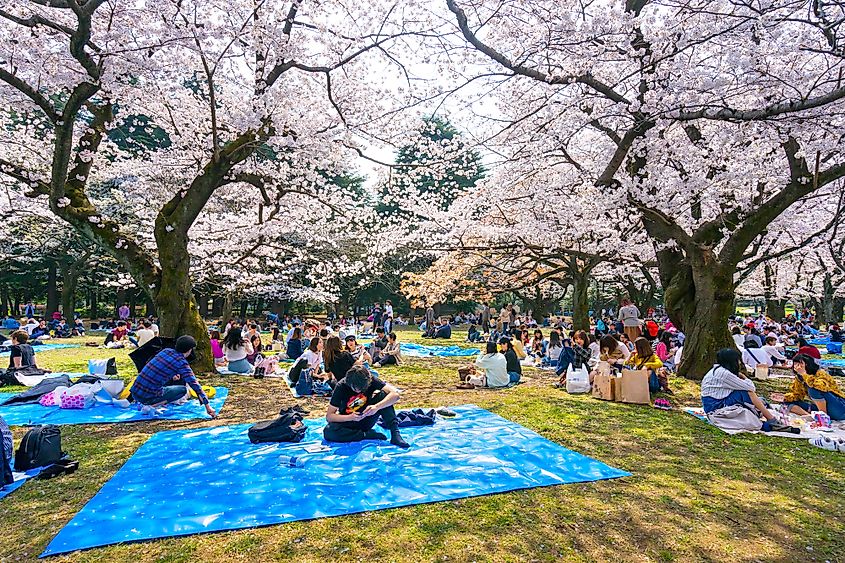 Yoyogi Park