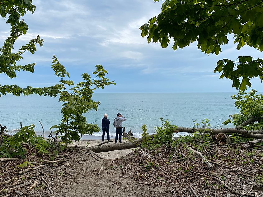 Two men standing on a wild beach, as seen from the forest trail en route