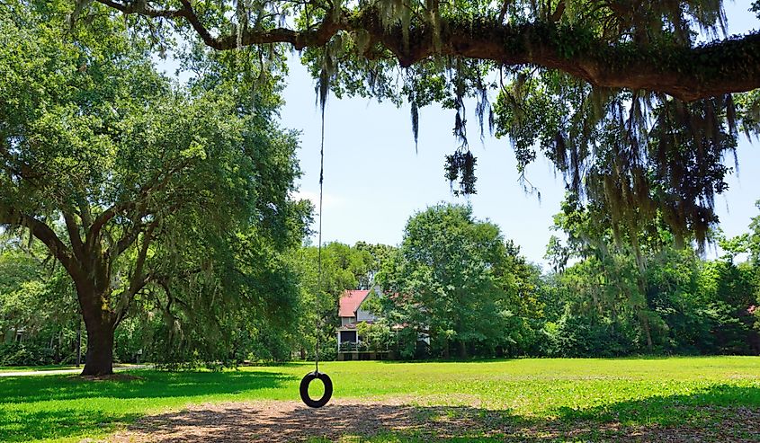 Tire swings and Spanish moss dangling from oak trees are part of the southern charm found in small, rural American towns like McClellanville.