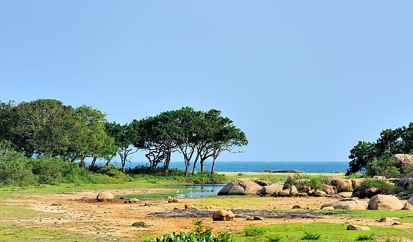 Yala National Park