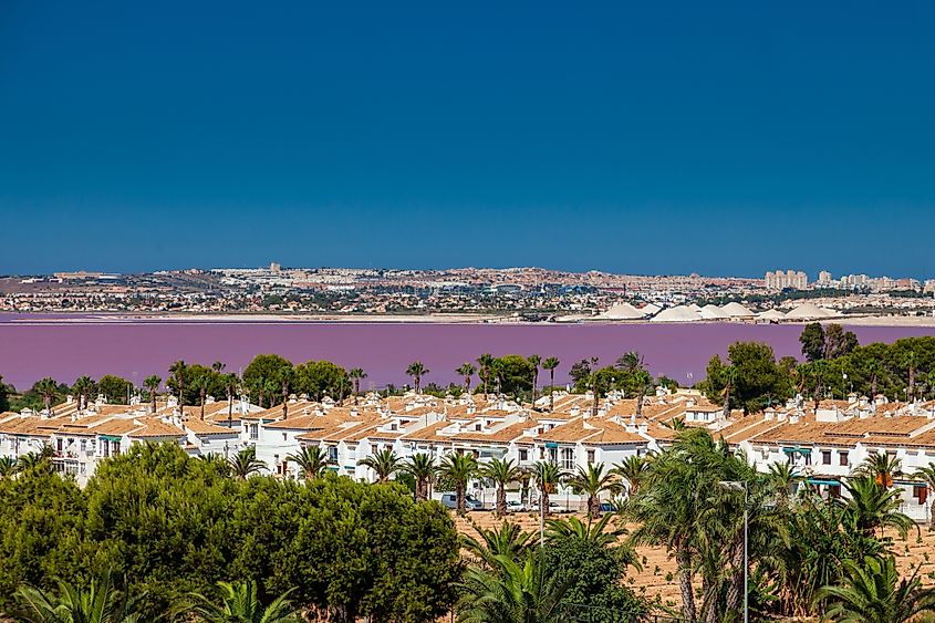 Pink lagoon overlooking homes in Torrevieja