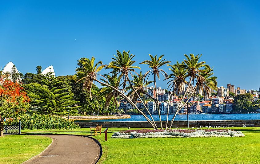 The Royal Botanical Garden of Sydney - Australia, New South Wales