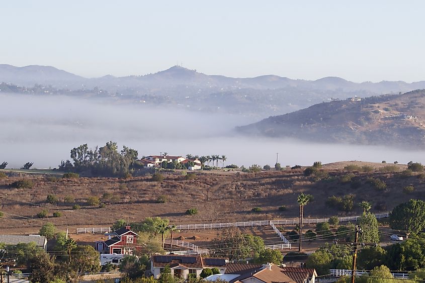 Morning Fog in Bonsall California.
