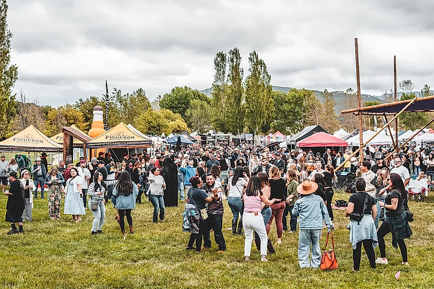 Festivities at the Beullton Brew Fest.