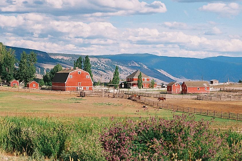 A ranch in the Cariboo-Chilcotin area.