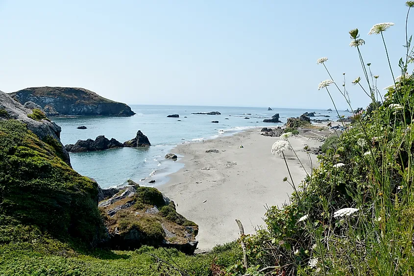 Harris Beach State Park in Oregon, USA. Via Shutterstock / Muriel Lasure
