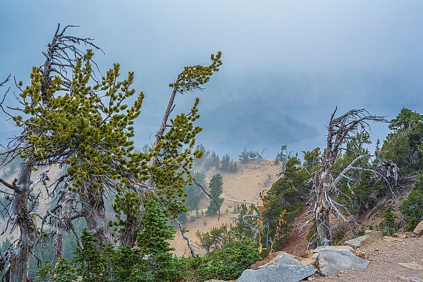 Fog with first snow on Crater Lake, Crater Lake National Park, Southern Oregon.