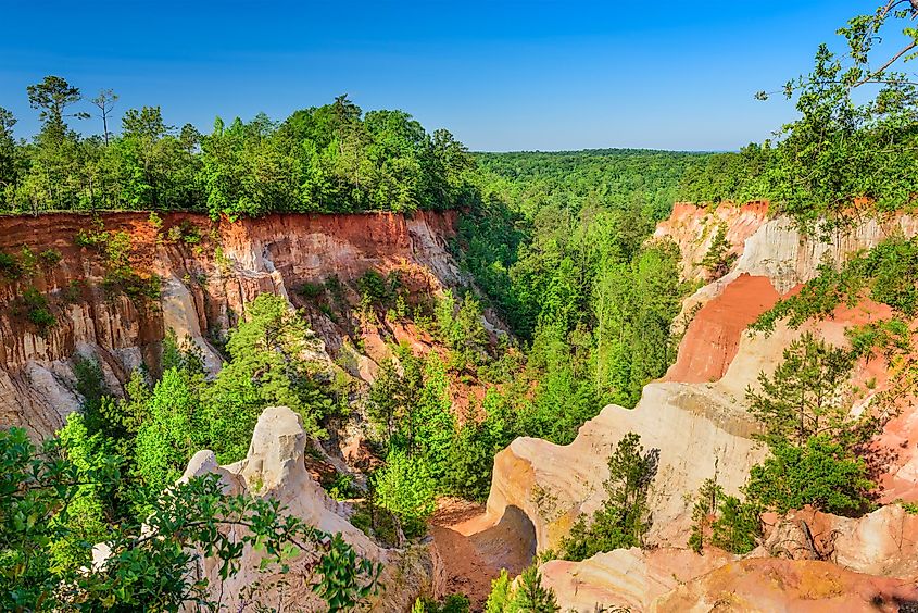 Providence Canyon in Southwest Georgia, USA