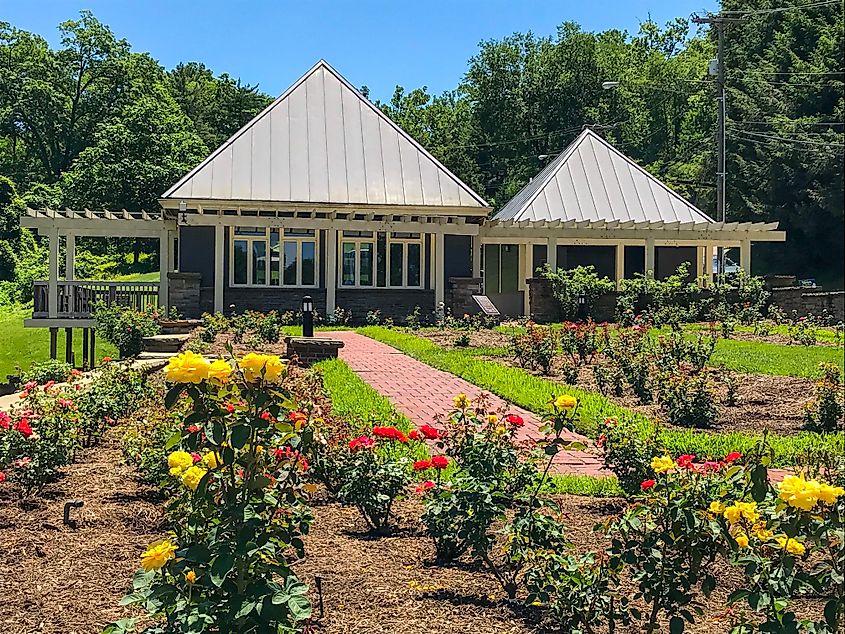 Ritter Park Rose Garden in Huntington, West Virginia.