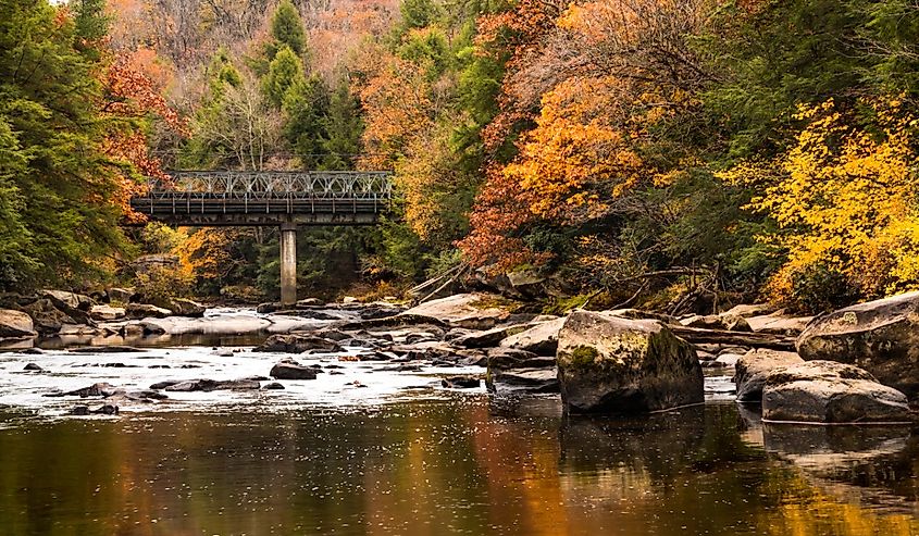Vibrant autumn photo taken in Swallow Falls state park in western maryland
