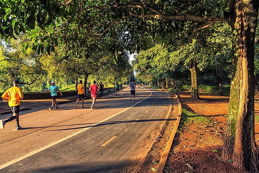 Ibirapuera Park