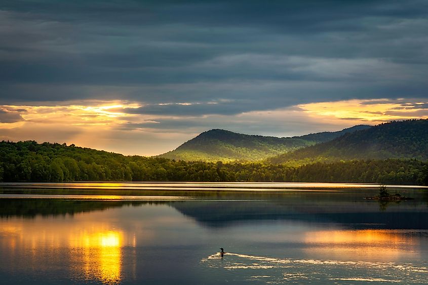 Loon watching the sunrise over Indian Lake Adirondacks New York